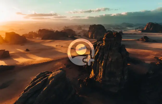 Transform Your Brand’s Digital Presence