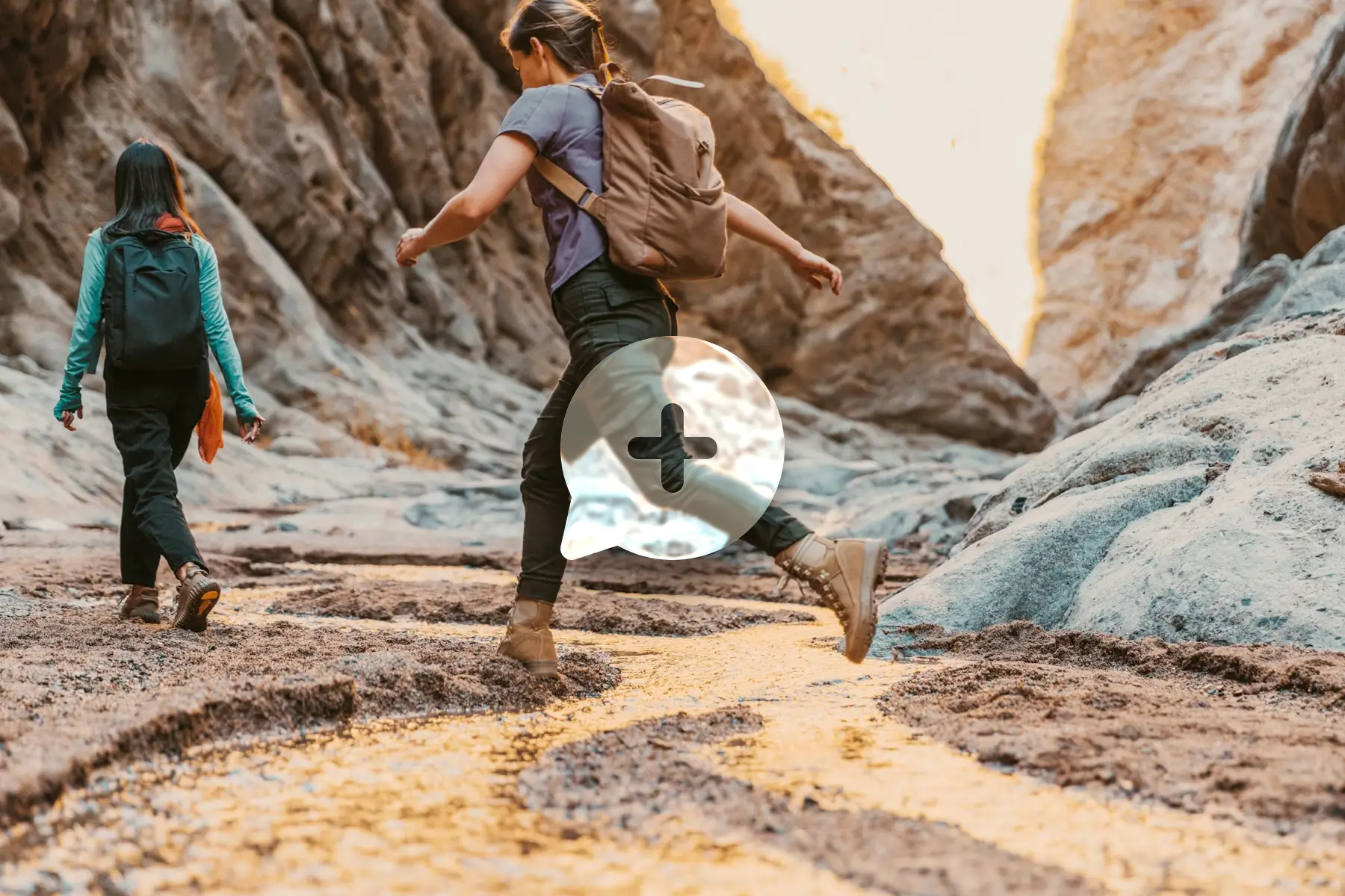 Build World-Class Websites Effortlessly